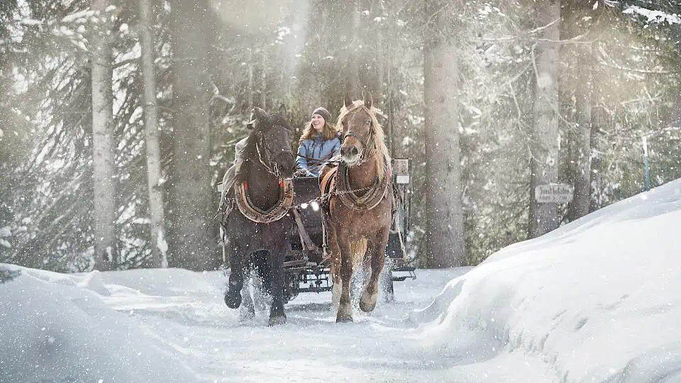 pferdeschlitten-8295x5214.960x540.jpg