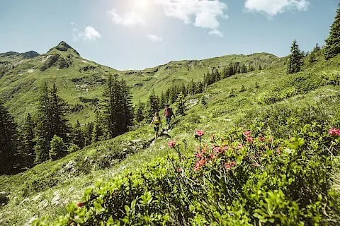 wandern-_-hiking-in-saalbach-hinterglemm_5.480x320.jpg
