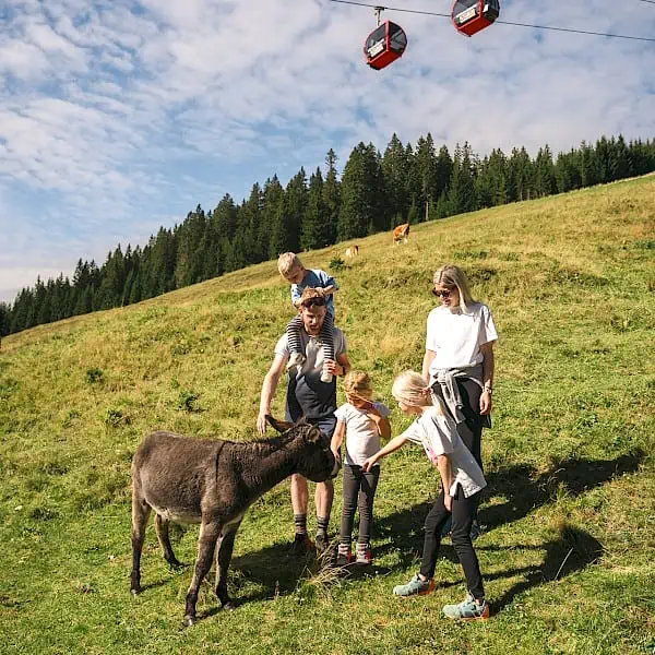 wandern-mit-der-familie-_-hiking-with-the-family.600x600.jpg