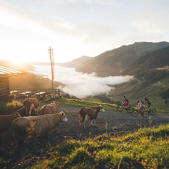 mountainbiking-in-saalbach-hinterglemm-c-saalbach_com--moritz-ablinger_1.580x580.jpg