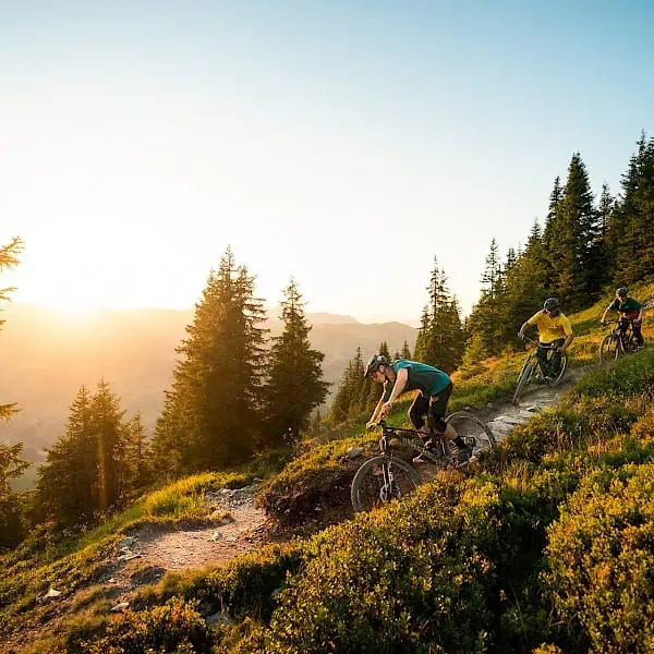 2022_bike-hedo-offene-c-saalbach_com-moritz-ablinger-_8.600x600.jpg