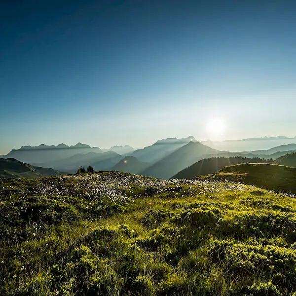 landschaft_landscape-saalbach-hinterglemm.600x600.jpg