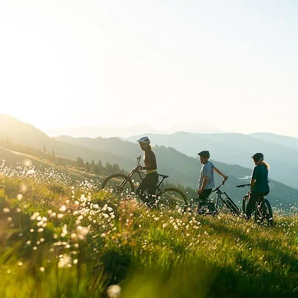 2022_bike-hedo-offene-c-saalbach_com-moritz-ablinger-_3.600x600.jpg