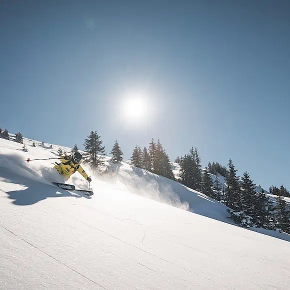 freeride_14.580x580.jpg