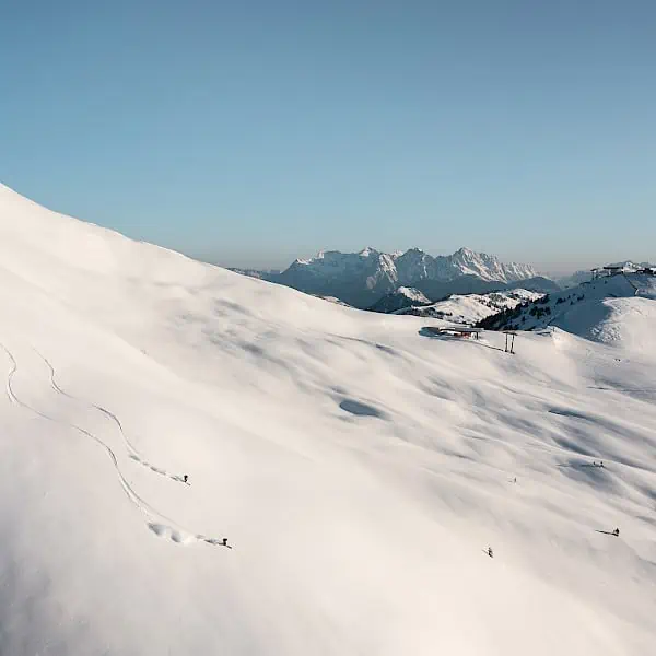 freeride_11.600x600.jpg