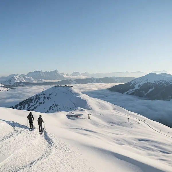 freeride_12.600x600.jpg