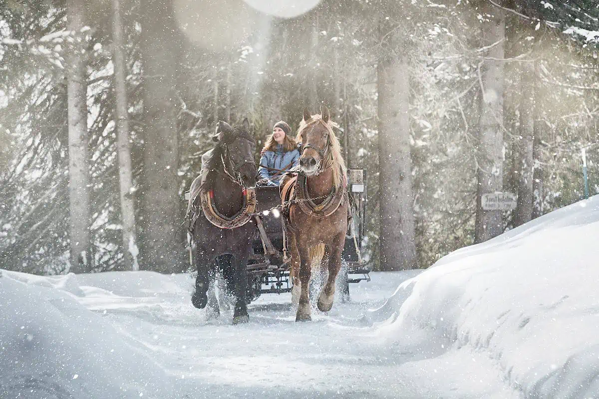 pferdeschlitten-8295x5214.1200x800.jpg
